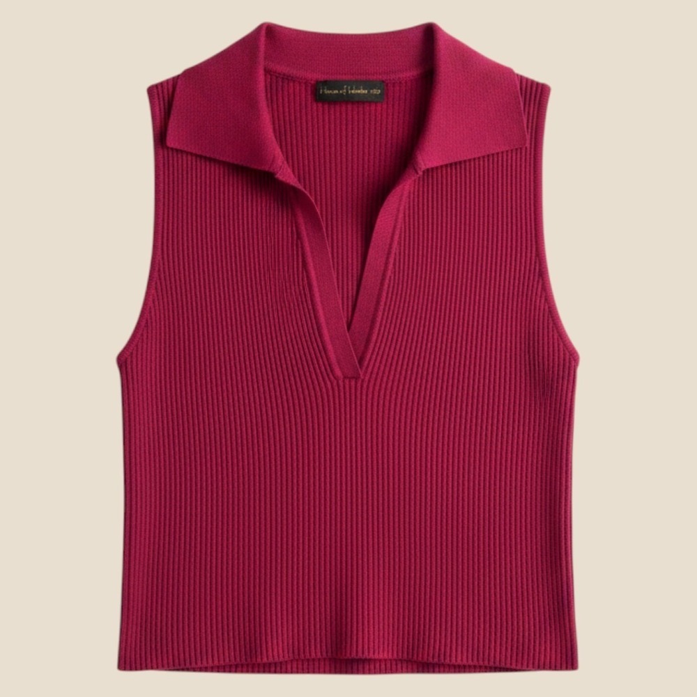 Womens House of Harlow 1960 Magenta ribbed collared crop top deep V-neck XS